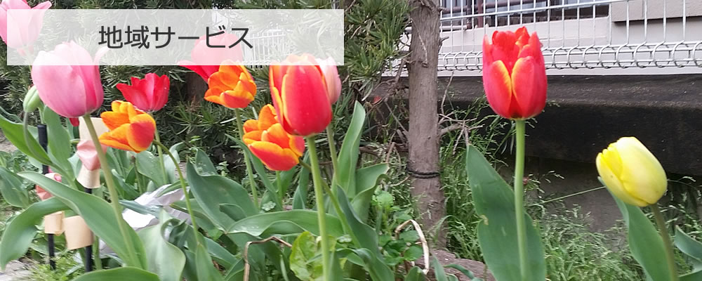 地域サービス